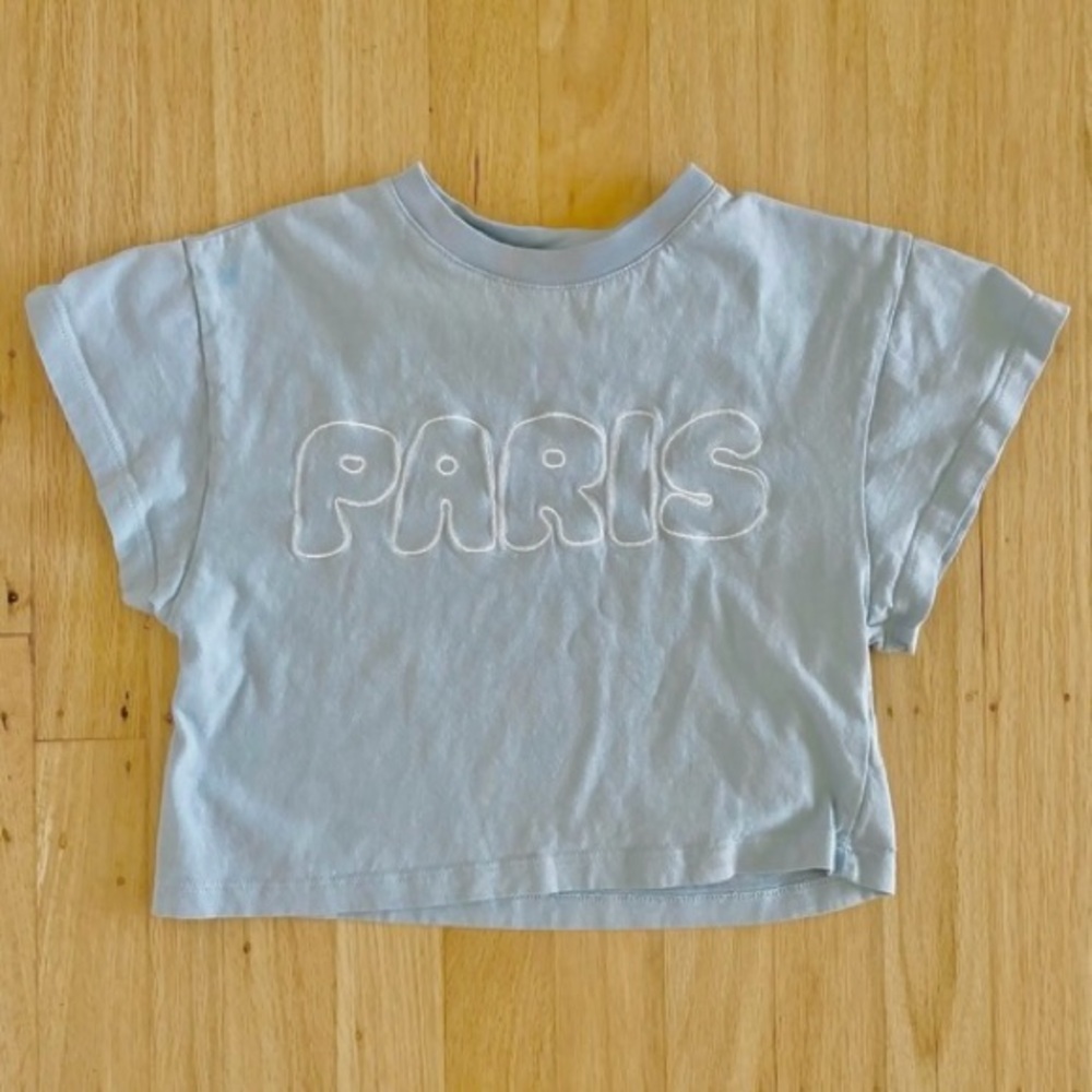 NWOT Zara Blue Paris Crop Top 6-7